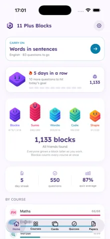 11 Plus Blocks on iPhone
